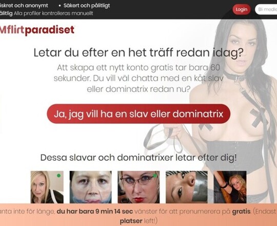 SMFlirtparadiset.com Logo